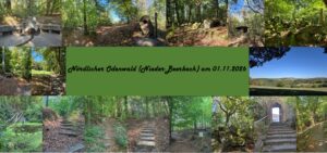Nördlicher Odenwald (Nieder-Beerbach) am 1.11.2026