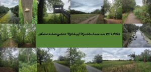 Naturschutzgebiet Kühkopf/Knoblochaue am 20.9.2026